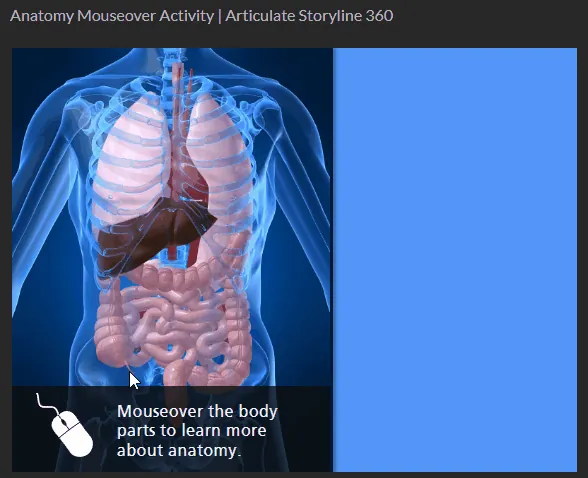 Interfaccia di un corso e-learning con immagine anatomica umana che mostra l’uso dell’hover per esplorare parti del corpo