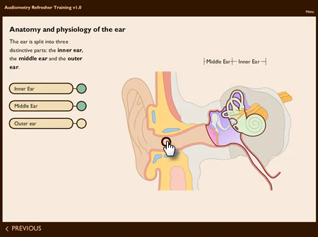Schema anatomico dell’orecchio umano con sezioni interattive per orecchio interno, medio ed esterno in un corso eLearning