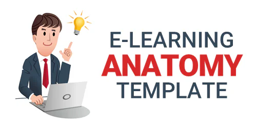 Illustrazione di uomo al computer con lampadina e testo e-learning anatomy template per modelli di corsi digitali