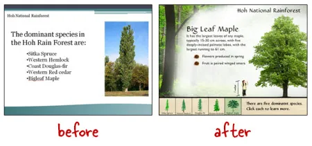 Confronto tra una slide PowerPoint semplice e una versione e-learning migliorata sulla foresta di Hoh