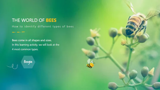 Schermata di un corso e-learning sul riconoscimento delle api con grafica naturale e pulsante di avvio