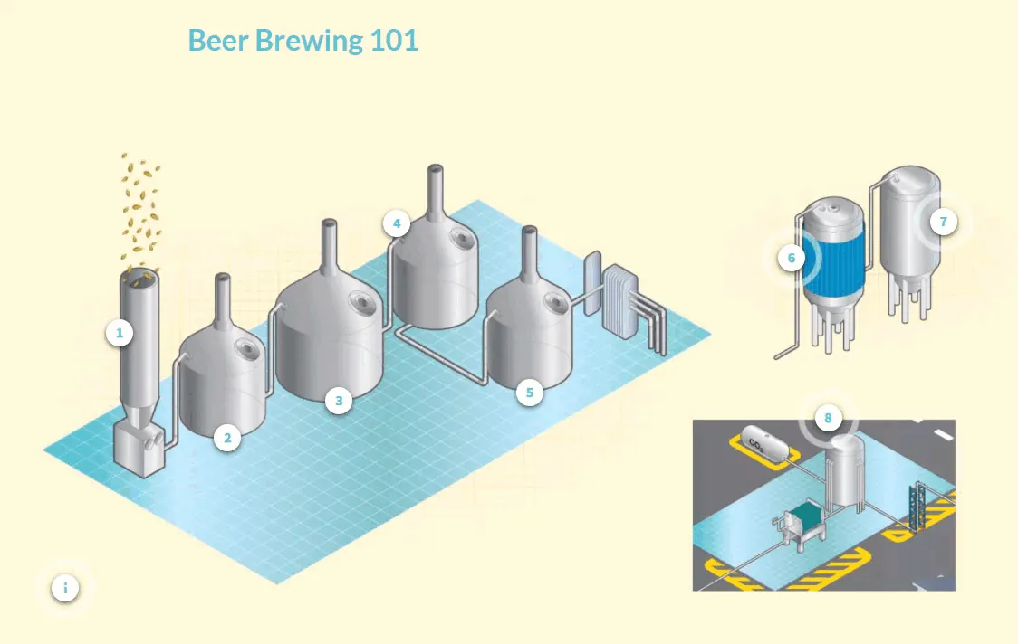 Schema animato che illustra le otto fasi principali del processo di produzione della birra in modo visivo e intuitivo