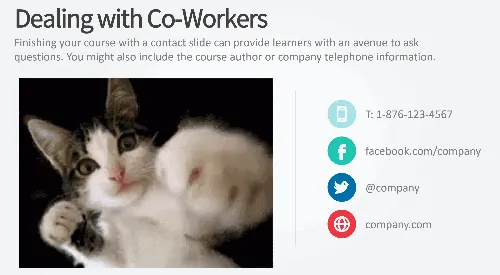 Gatto animato che muove le zampe accanto a una sezione di contatti, esempio di uso umoristico delle GIF nei corsi e-learning