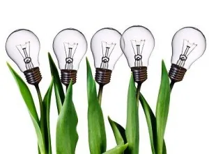 Cinque lampadine con steli verdi simili a piante rappresentano la crescita di idee grazie alla community elearning