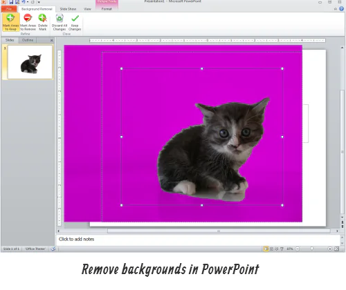 Un gattino su sfondo rosa acceso durante la rimozione dello sfondo in PowerPoint 2010, utile per il rapid e-learning