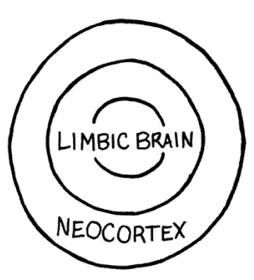 Schema a cerchi concentrici che rappresenta la relazione tra cervello limbico e neocorteccia nel processo di apprendimento