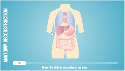Sagoma di corpo umano stilizzato con organi interni visibili e cursore su un'area interattiva senza barriera hotspot