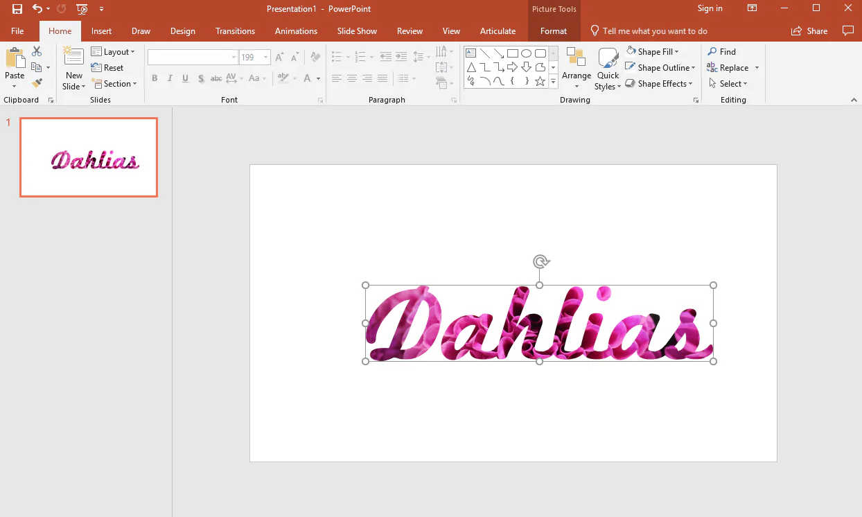 Testo decorativo Dahlias riempito con un'immagine floreale su una slide di PowerPoint per mostrare l'effetto di riempimento