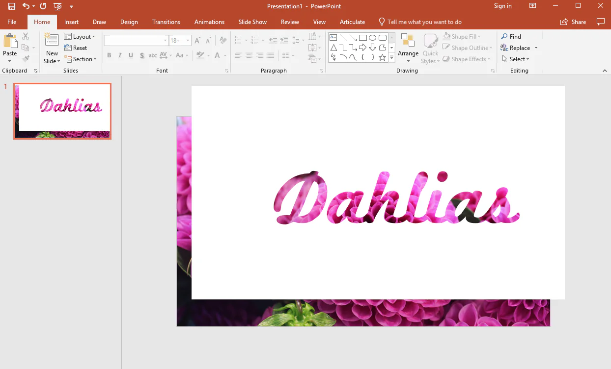 Testo Dahlias con effetto riempimento immagine floreale rosa su slide PowerPoint per tutorial di unione forme